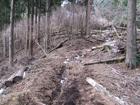 20160121hike (107)